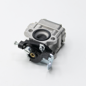 CARBURETOR,DIAPHRAGM