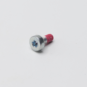 BOLT, TORX 5